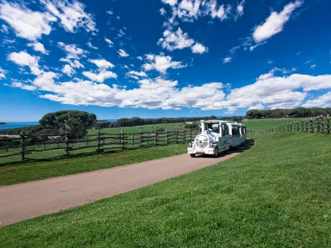 Brijuni National Park Tour